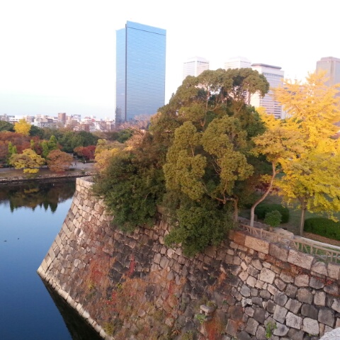 2014112622324700.jpg