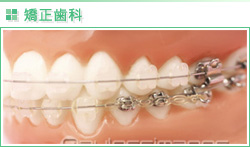 矯正歯科